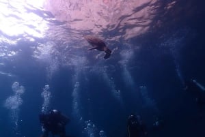Phuket : Plongée sous-marine avec le centre de plongée SeaWave