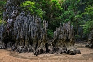 Phuket: Canoa di mare e plancton incandescente con un tour in catamarano veloce