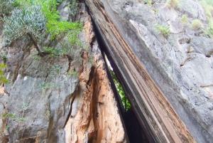 Phuket: Zeekano & gloeiend plankton per Speed Catamaran Tour