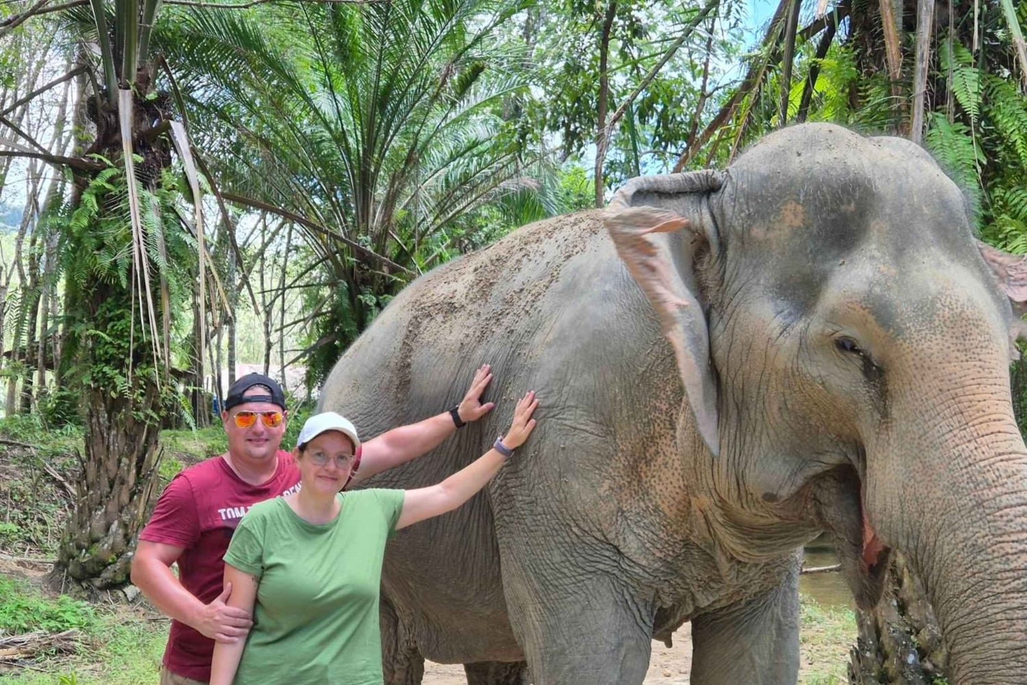 Phuket: Havssköldpaddscenter, tempel, tsunami, elefant och mer