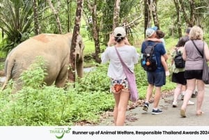 Phuket: Havssköldpaddscenter, tempel, tsunami, elefant och mer
