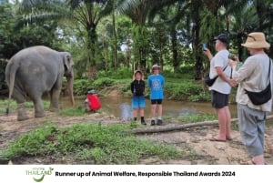 Phuket: Havssköldpaddscenter, tempel, tsunami, elefant och mer