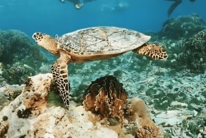 プーケット：スピードボートでシミラン島