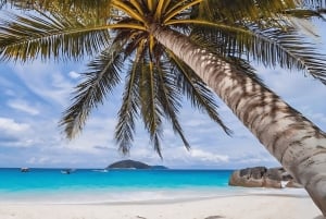 プーケット：スピードボートでシミラン島