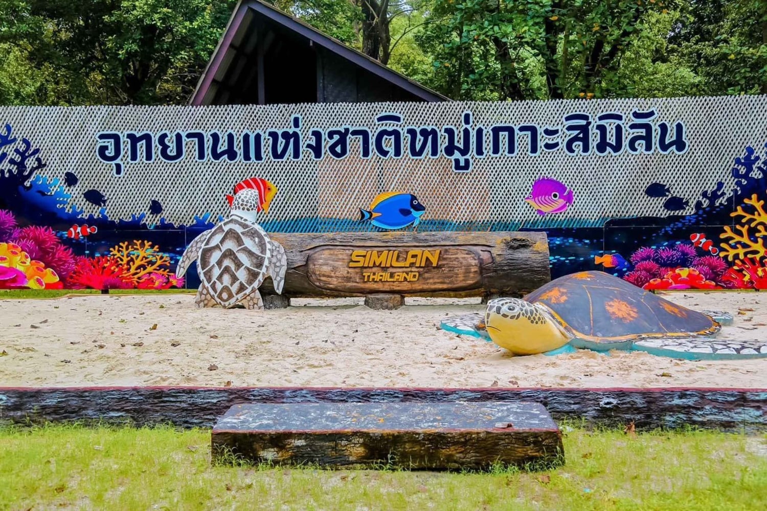 푸껫: 시밀란섬 스피드 보트 카타마란 당일 여행