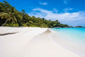 푸껫: 시밀란섬 스피드 보트 카타마란 당일 여행