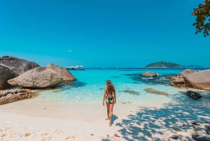 푸껫: 시밀란섬 스피드 보트 카타마란 당일 여행