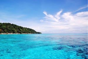 Phuket: Similan Island Day Trip by Speed Boat Catamaran