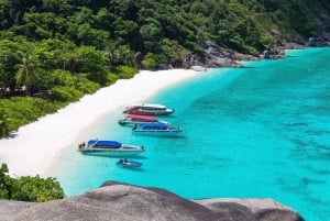 Phuket: Similan Island Day Trip by Speed Boat Catamaran