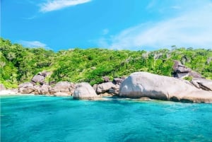 Phuket: Similan Island Day Trip by Speed Boat Catamaran