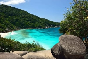 Phuket: Similan Island Day Trip by Speed Boat Catamaran