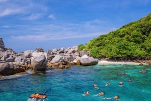 Phuket: Similan Island Day Trip by Speed Boat Catamaran