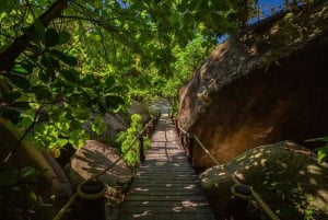 Phuket: Similan Island Day Trip by Speed Boat Catamaran