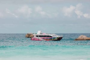 Depuis Phuket : Excursion d'une journée aux îles Similan en catamaran Speed Royal Premium