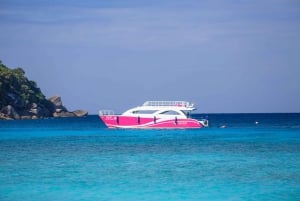 Phuket : Similan Island Snorkeling Adventure visite d'une jounée