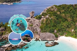 Phuket: Tour di un giorno dell'avventura di snorkeling sull'isola Similan