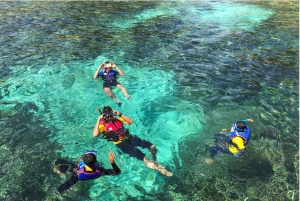 Phuket: Dagstur med hurtigbåt til Similan-øyene med lunsj