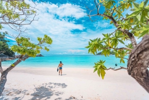 Phuket: Dagstur med hurtigbåt til Similan-øyene med lunsj