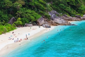 Phuket: Dagstur med hurtigbåt til Similan-øyene med lunsj