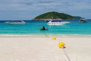 Phuket: Dagstur med hurtigbåt til Similan-øyene med lunsj