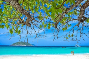 Phuket: Excursión de un día a las Islas Similan en lancha rápida con almuerzo