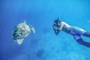 Phuket: Escursione di un giorno alle Isole Similan con snorkeling e pranzo