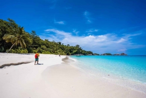 Phuket: Escursione di un giorno alle Isole Similan con snorkeling e pranzo