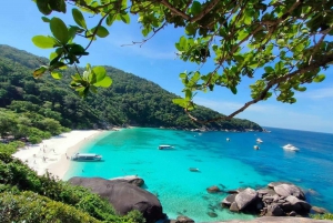 Phuket: Escursione di un giorno alle Isole Similan con snorkeling e pranzo