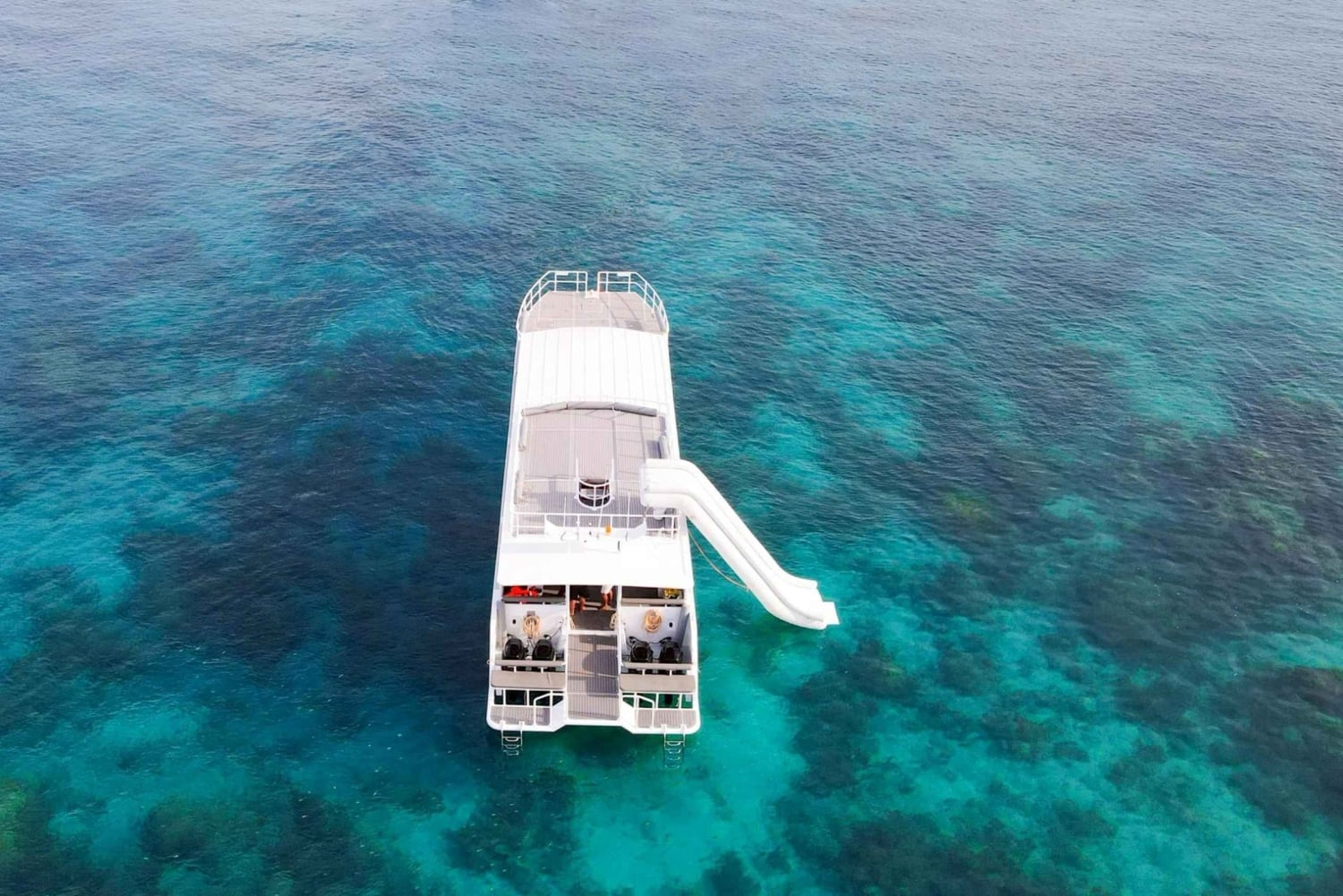 Phuket: wycieczka na Similany szybkim katamaranem premium