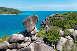 Phuket: Similan Islands Tour mit dem Premium Speed Katamaran