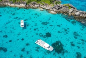 Phuket: Similan Islands Tour mit dem Premium Speed Katamaran