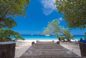 Phuket: Similan Islands Tour mit dem Premium Speed Katamaran