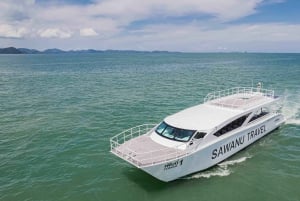 Phuket: Similan Islands Tour mit dem Premium Speed Katamaran