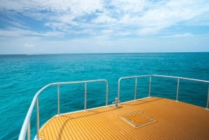 Phuket: wycieczka na Similany szybkim katamaranem premium