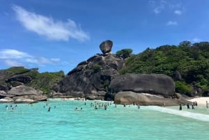 Phuket: wycieczka na Similany szybkim katamaranem premium