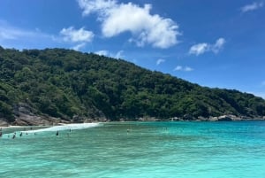 Phuket: wycieczka na Similany szybkim katamaranem premium