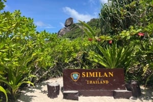 Phuket: wycieczka na Similany szybkim katamaranem premium