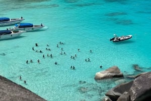 Phuket: wycieczka na Similany szybkim katamaranem premium