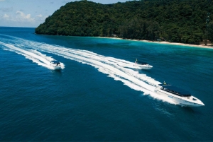 Phuket: Speedboat tour to Coral Island & Racha island