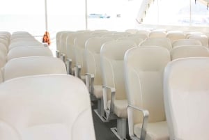 فوكيت: جولة بقارب سريع إلى كوه هاء وكوه روك مع الغوص السطحي