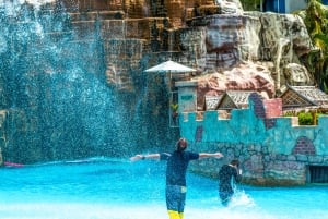 Phuket Splash Jungle Water Park Adventure