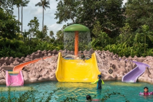 Phuket: Adgangsbillet til vandlandet Splash Jungle