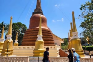 Phuket: Vanhakaupunki Aamupäivän katutaidekävelykierros ja lounas