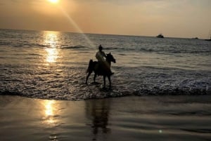 Phuket: Sunset Beach Horseback Journey