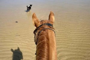 Phuket: Sunset Beach Horseback Journey