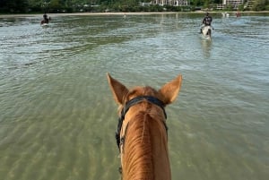 Phuket: Sunset Beach Horseback Journey