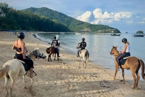 Phuket: Sunset Beach Horseback Journey