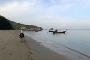 Phuket: Sunset Beach Horseback Journey