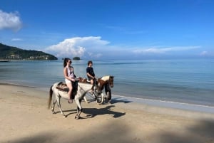 Phuket: Sunset Beach Horseback Journey