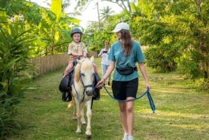 Phuket: Sunset Beach Horseback Journey